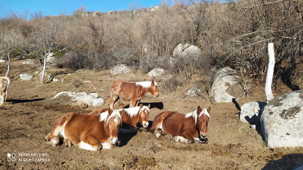 Ferme Can Llull Enveitg Exterior foto